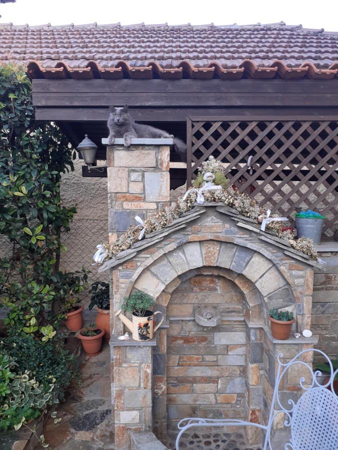 Traditional Maisonette In Pelion ヴォロス エクステリア 写真